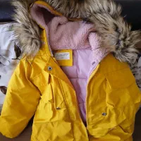 کاپشن کلاه دار|لباس|گنبد کاووس, |دیوار