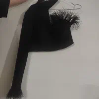نیم تنه مجلسی