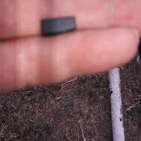 سویچ خودرو پیداشده