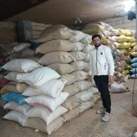 با سلام خرید فروش کلیه محصولات کشاورزی بادام|خوردنی و آشامیدنی|مرودشت, مجد آباد|دیوار