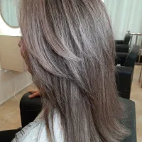 اجاره لاین به صورت ماهانه ودرصدی