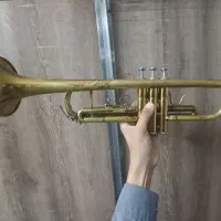 ترومپت چینی|سازهای بادی|نجفآباد, حومه نجف آباد|دیوار