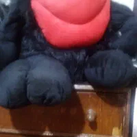 عروسک پشمالو