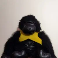 عروسک|اسباب‌بازی بچه|تهران, کرمان|دیوار