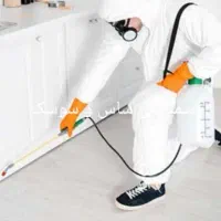 سمپاشی پردیش ساس و حشرات موذی