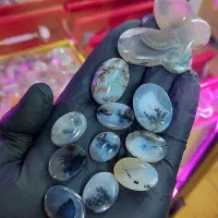 ده عدد شجر تک درخت حراج خاص|بدلیجات|ساوه, |دیوار