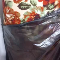 کوی علوی