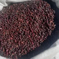 لوبیا تنظیم بازار