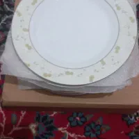 ۱۲ بشقاب میوه خوری نو با کارتن|ظروف سرو و پذیرایی|اندیمشک, |دیوار