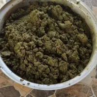 سبزی|خوردنی و آشامیدنی|عسلویه, |دیوار