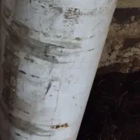 کپسول سمند 2030