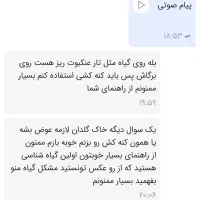 تشخیص و معرفی بهترین گیاه برای منزل و محل کار شما|گل و گیاه طبیعی|مشهد, ولیعصر (شهرک غرب)|دیوار