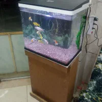 آکواریوم شیشه خم نو