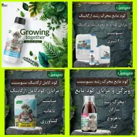 باردهی ده برابری باکودهای ارگانیک وگیاهی سبوسیب|گل و گیاه طبیعی|سلماس, |دیوار