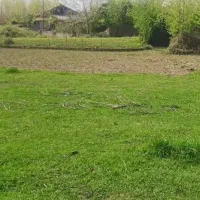 زمین کشاورزی دارای آب. ..میشه هرکاری انجام داد