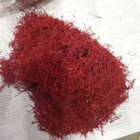 نگین زعفران امسال