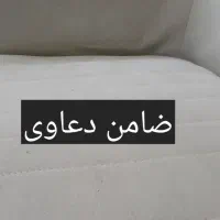 ضامن دادگاهی هستم