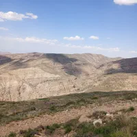 عسل صد درصد طبیعی به شرط|خوردنی و آشامیدنی|طبس, |دیوار