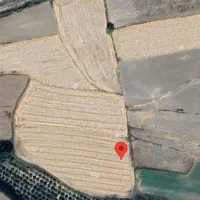 فروش فوری و زیر قیمت۹۰۰۰متر زمین دشتروم مورصفا