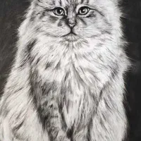 نقاشی سیاه قلم طرح گربه