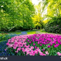 استخدام مسئول فنی