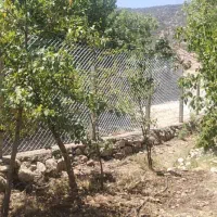 فروش خانه باغ شیک 1000 متری|فروش خانه و ویلا|ایوان, |دیوار