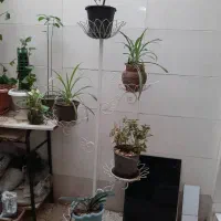 استند گل فلزی|گل و گیاه طبیعی|تهران, ارامنه|دیوار