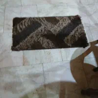 پادری ترک|پادری|تهران, تهرانپارس غربی|دیوار