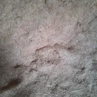 کاه گندم|لوازم جانبی حیوانات|اسفراین, |دیوار