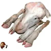 کله پاچه