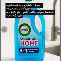 با این محلول دیگ وایتکس نخر