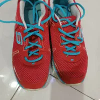 کتونی|کیف، کفش، کمربند|کن, |دیوار