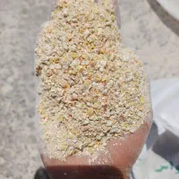 دان طیور و دام