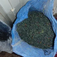 بنه یا خنجک|خوردنی و آشامیدنی|بیرجند, |دیوار