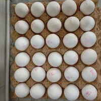 خانواده های که مشکله مالی دارن