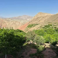 فروش دو قطعه زمین ییلاقی در ارجمند با حق آبه چشمه