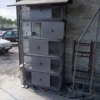 قفس کبوتر جفت کن