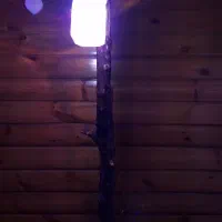 آباژور درختی ریسه ای خاص