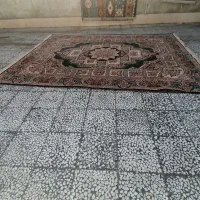 فرش ۱۲ متری کاشان در حد نو|فرش|گنبد کاووس, |دیوار