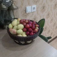 اموزش و فروش عمده سبد با نخ مفتول|خدمات آموزشی|شهرکرد, |دیوار