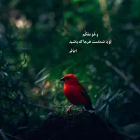 نیازمند خانه اجاره ای