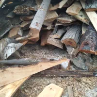 هیزم|خدمات باغبانی و درختکاری|تهران, شهرک چیتگر|دیوار