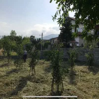 فروش-زمین-با-کاربری-مسکونی-در-رامسر