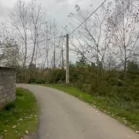 فروش-500-متر-زمین-مسکونی-خمام-شیجان