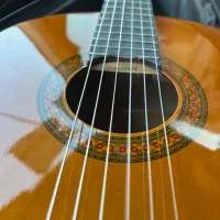 گیتار|گیتار، بیس، امپلیفایر|کوهدشت, |دیوار