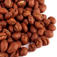 عمده فروش دان در سراسر ایران