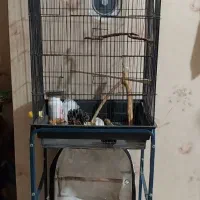 قفس پرنده