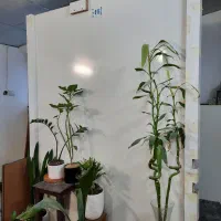 یک ورق ام دی اف