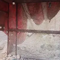 قفس مقاوم عالی برای حیوانات اهلی و...