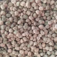 بذر نخودفرنگی